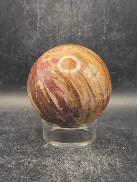 Petrified wood sphere! 65.7mm, 2.5 inches, 14.3 ounces