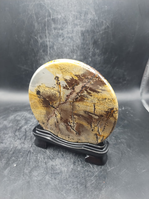 Natural Picture jasper slab with stand! 4.8 ounces, 3.5 inches