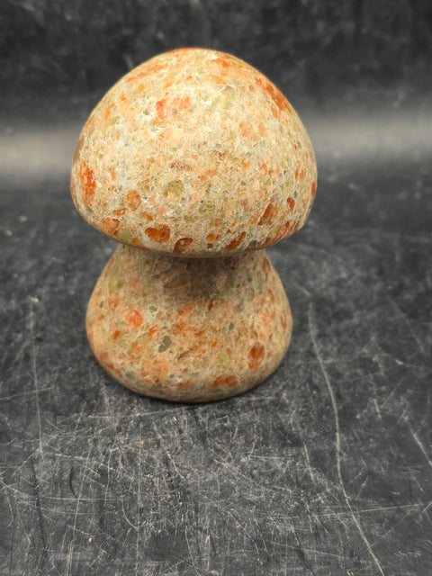 Unakite mushroom! 2.5 inches tall, 6.5 ounces!