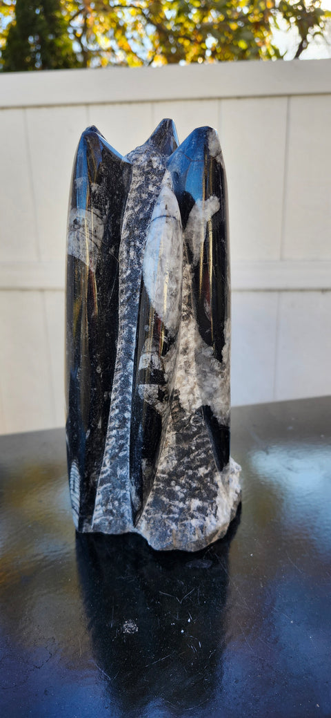 Xl 7 orthoceras limestone statue! 4.9 pounds, 8.5 inches tall 3.3" wide