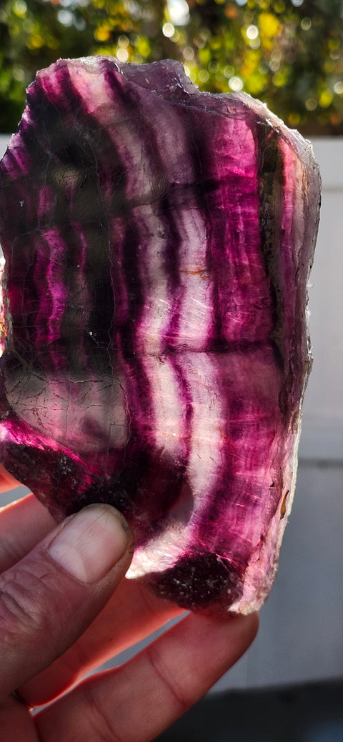 Florite slab! 9.5 ounces, 5 inches long, 3 inches wide!