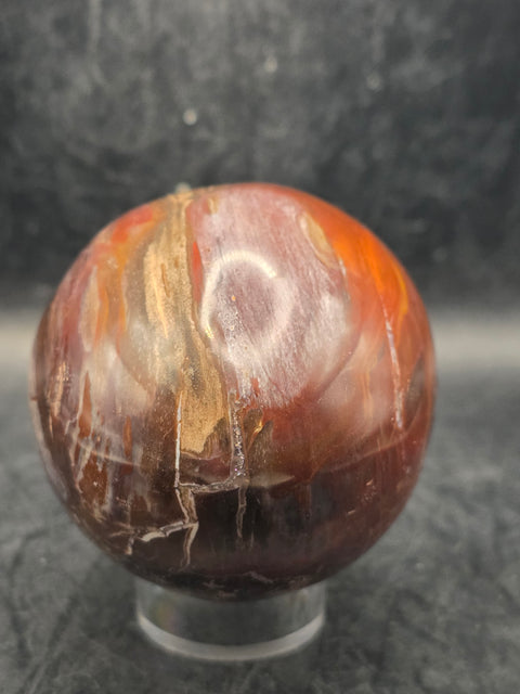 Petrified wood egg! 3.1 inches tall, 2.5 inches wide, 1 pound