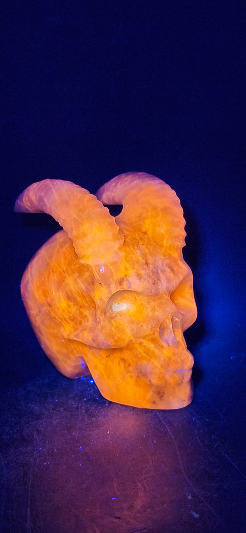 Sodalite demon skull! Uv reactive! 15.6 ounces, 3 inches long & tall