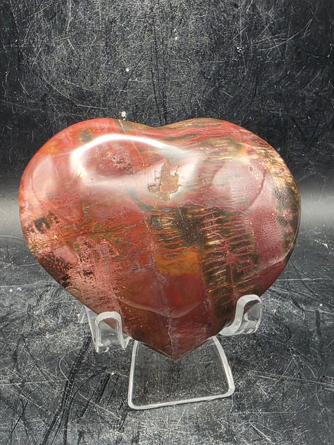 Petrified wood heart! 7.2 ounces, 3.1 inches wide by 2.7" tall