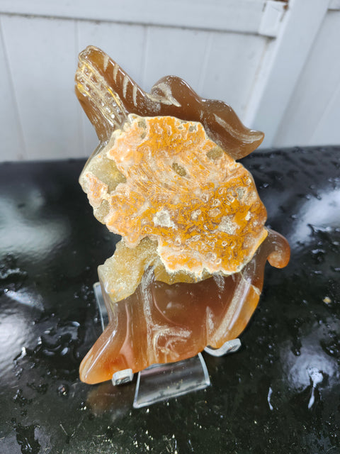 Druzy agate wolf! 9 ounces, 6 inches
