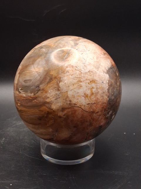 Large petrified wood sphere! 81mm, 3.1 inches, 1.8 pounds