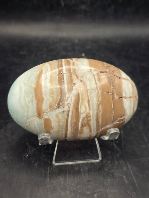 Caribbean calcite palm stone! 4.1 ounces, 2.9 inches long, 1.8" wide