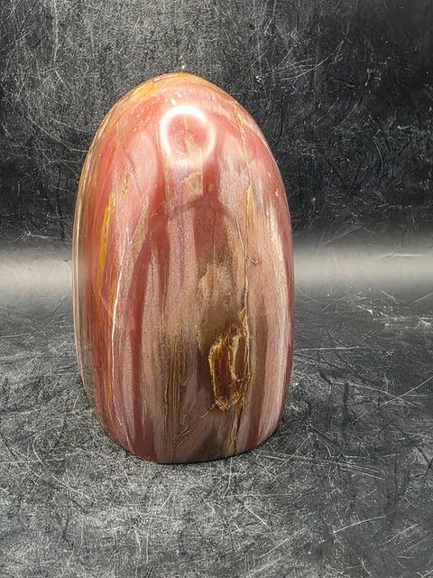 Petrified wood free form! 1.5 pounds, 3.4 inches tall, 3.1" wide