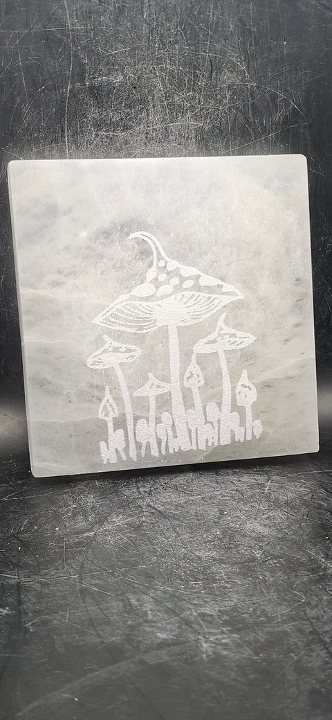 Mushroom selenite charging plate! 12 ounces, 4 inches long!