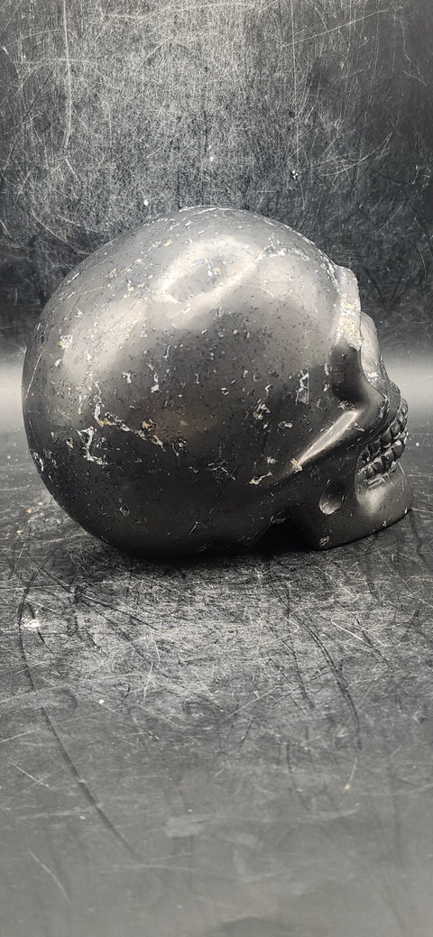 Shungite skull! 1.2 pounds, 3.7 inches long, 2.9 tall!