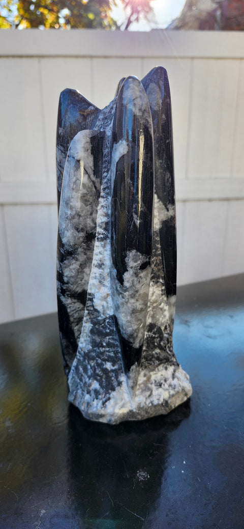 Xl 7 orthoceras limestone statue! 4.9 pounds, 8.5 inches tall 3.3" wide