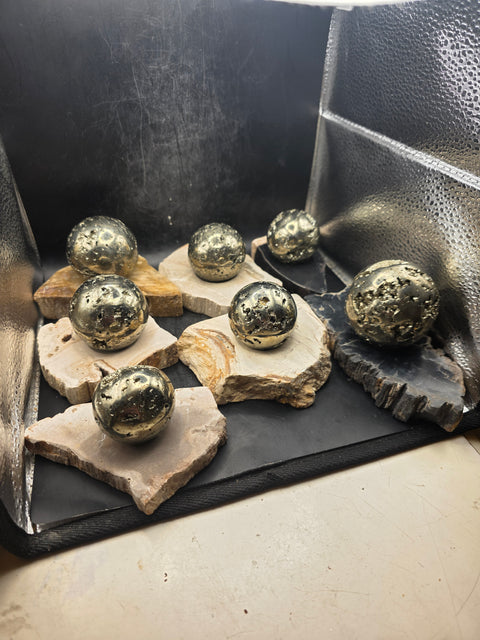 Petrified wood sphere holder! 4.2 too 5.2 inches!