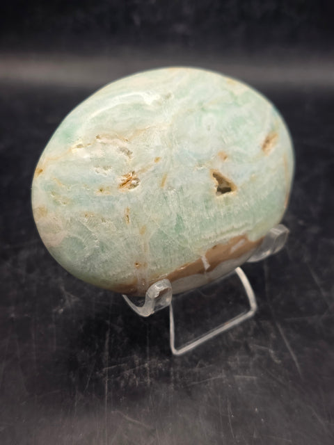 Caribbean calcite palm stone! 5.7 ounces, 3 inches long, 2.2" wide