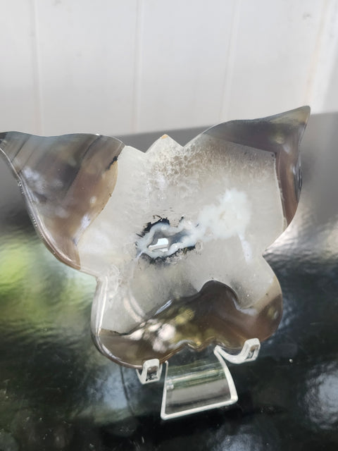 Druzy agate butterfly! 4.9 inches wide, 3.36 inches tall, 8 ounces
