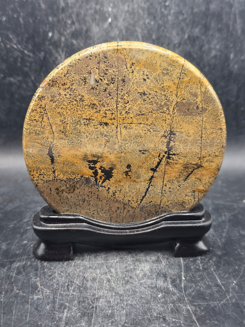 Natural picture jasper slab with stand! 4.7 ounces, 3.5 inches wide