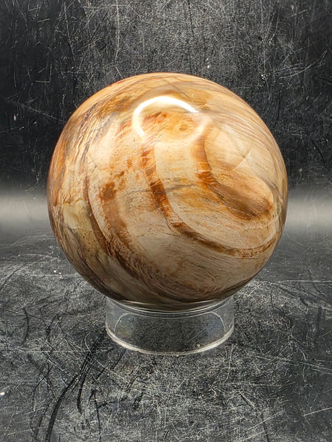 Petrified wood sphere! 79mm, 3.1 inches, 1.8 pounds!