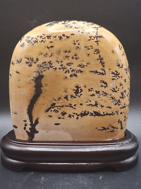 Picture jasper slab with stand! 4 by 4 inches, 1.3 pounds, 1.3" thick