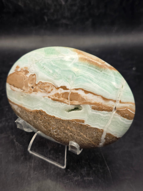 Caribbean calcite palm stone! 6.4 ounces, 3.4 inches wide