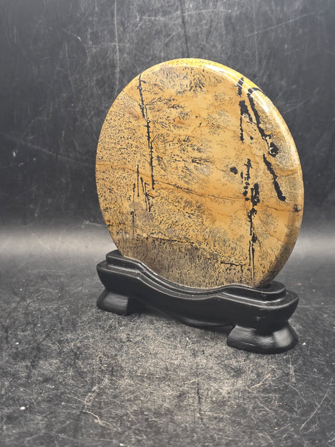 Natural picture jasper slab with stand! 4.9 ounces, 3.5 inches wide!