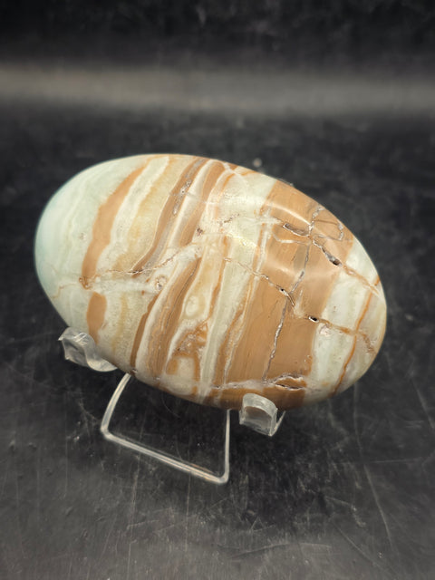 Caribbean calcite palm stone! 4.1 ounces, 2.9 inches long, 1.8" wide