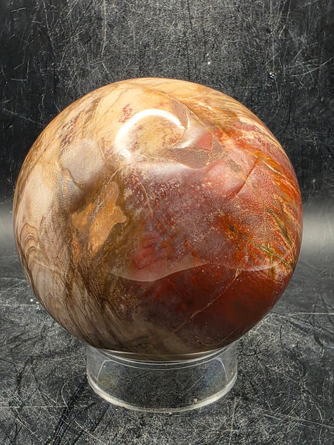 Petrified wood sphere! 79mm, 3.1 inches, 1.8 pounds!