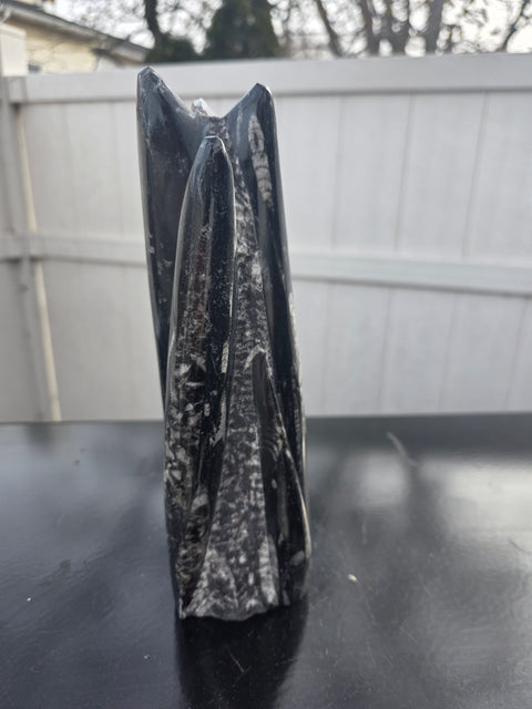 Orthoceras limestone statue! 3.5 pounds, 9 inches tall, 2.5" wide