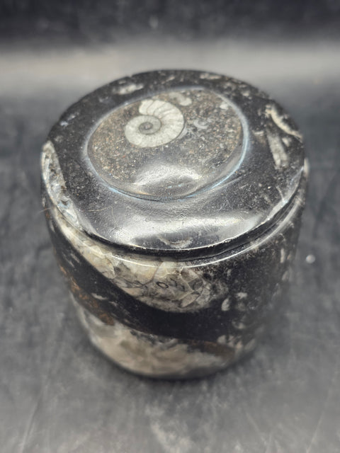 Small round fossil box! 2.4 inches tall, 2.3 inches wide, 8.6 ounces