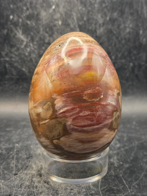 Petrified wood egg! 14.8 ounces, 3.2 inches tall, 2.3 inches wide