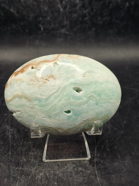 Caribbean calcite palm stone! 4.7 ounces 2.8 inches long, 2" wide