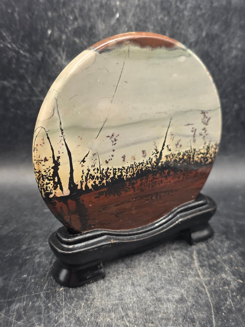 Natural picture jasper slab with stand! 5.1 ounces, 3.5 inches wide