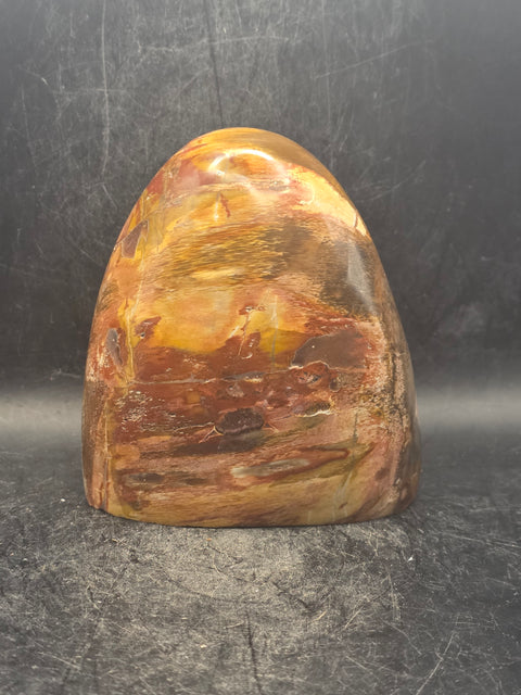 Petrified wood free form! 1.5 pounds, 3.7 inches tall, 3.3" wide!