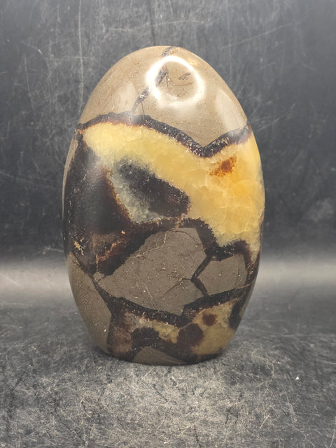 Septarian stone free form! 1.5 pounds, 4.2 inches tall, 3" wide!