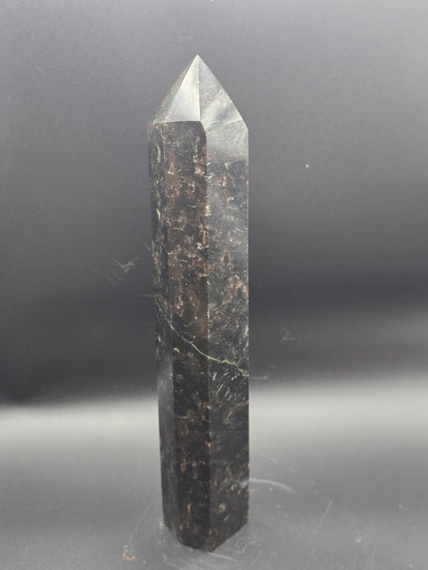 Jumbo arfvedsonite tower! 9.5 inches tall, 1.15 pounds