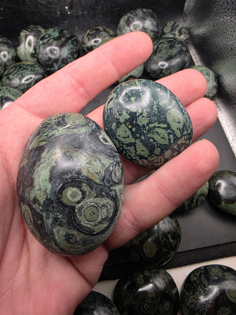 Kambaba Jasper palm stones! Set of 2! 1.6 to 2.6 inches!