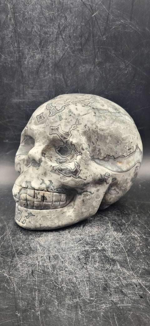 Picasso jasper skull! 1.9 pounds, 3.8 inches long, 3 inches tall!