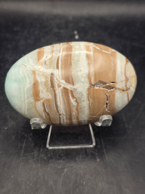 Caribbean calcite palm stone! 4.1 ounces, 2.9 inches long, 1.8" wide