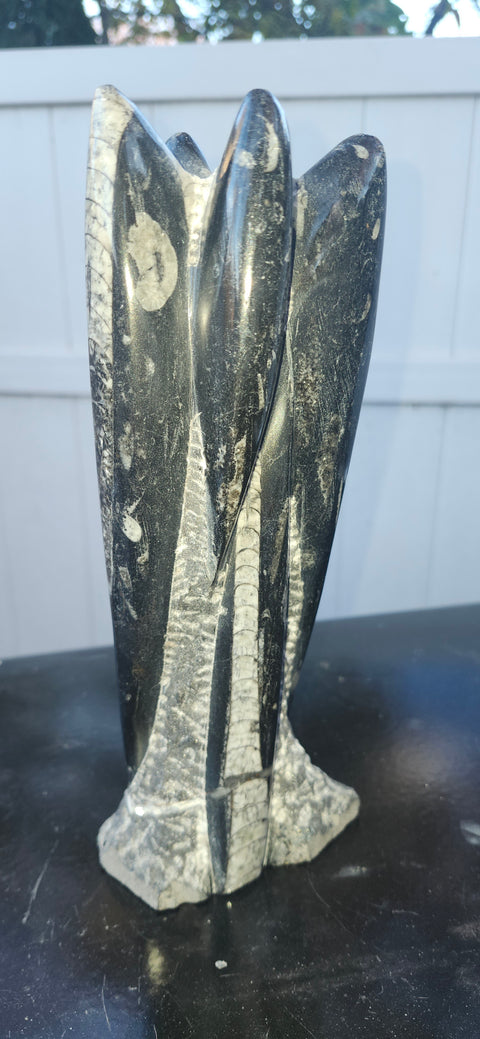 Large 5 orthoceras statue! 9 inches tall, 3 inches wide, 2.12 pounds
