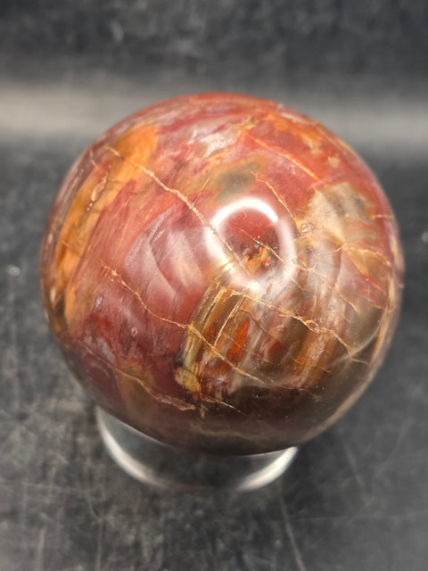 Petrified wood egg! 1.3 pounds, 3.4 inches tall, 2.6 inches wide!