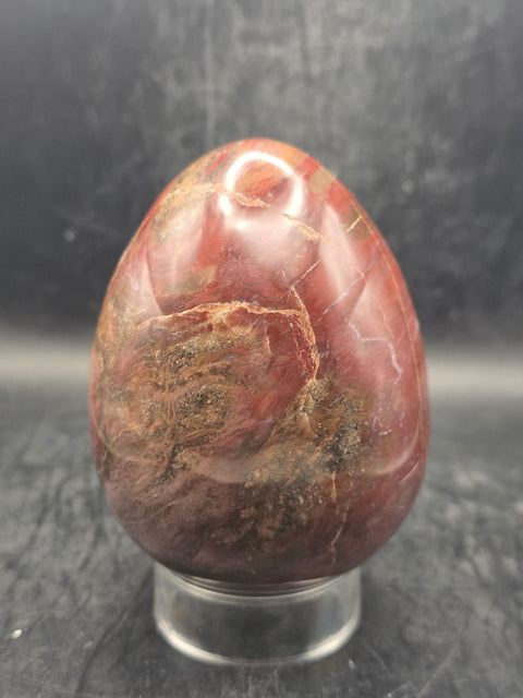 Petrified wood egg! 1.4 pounds! 3.5 inches tall, 2.7" wide