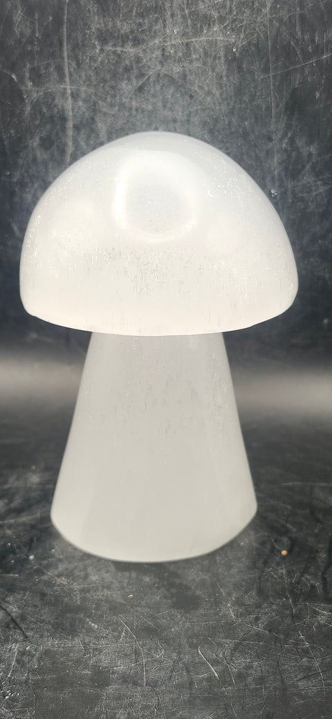 Large Selenite mushroom! 3.7 too 4 inches tall!