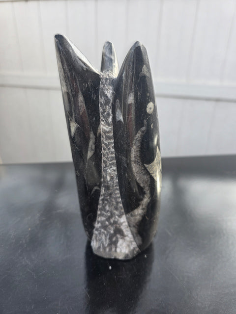 Orthoceras limestone statue! 1.14 pounds, 7 inches tall, 2.6" wide