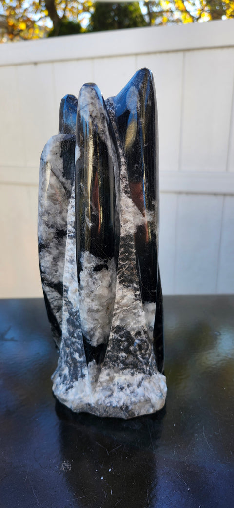 Xl 7 orthoceras limestone statue! 4.9 pounds, 8.5 inches tall 3.3" wide