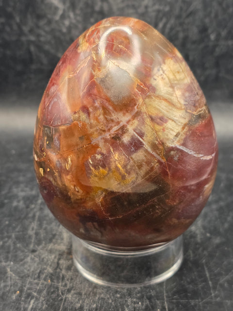 Petrified wood egg! 1.3 pounds, 3.4 inches tall, 2.6 inches wide!