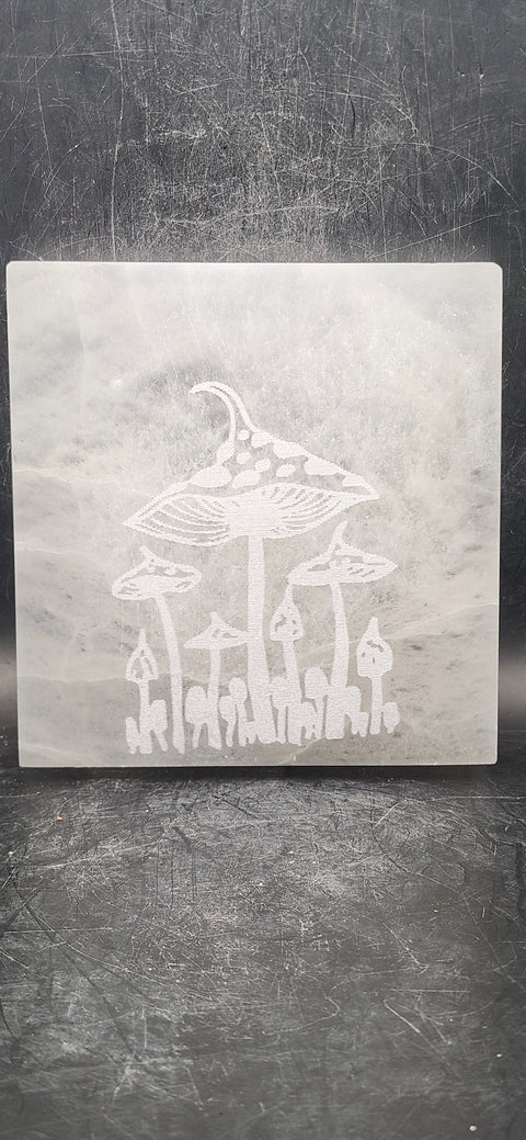 Mushroom selenite charging plate! 12 ounces, 4 inches long!
