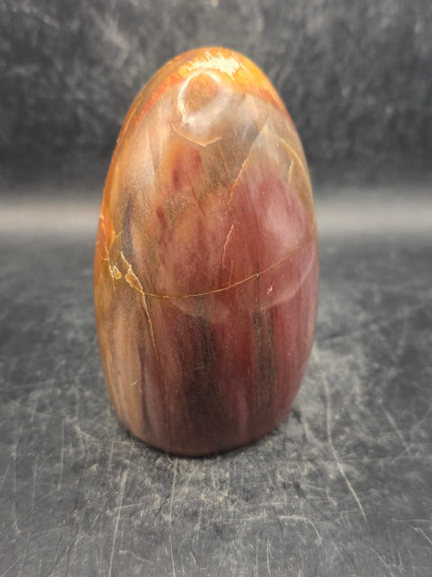 Petrified wood free form! 15.3 ounces, 3.4 inches tall, 2.3 wide