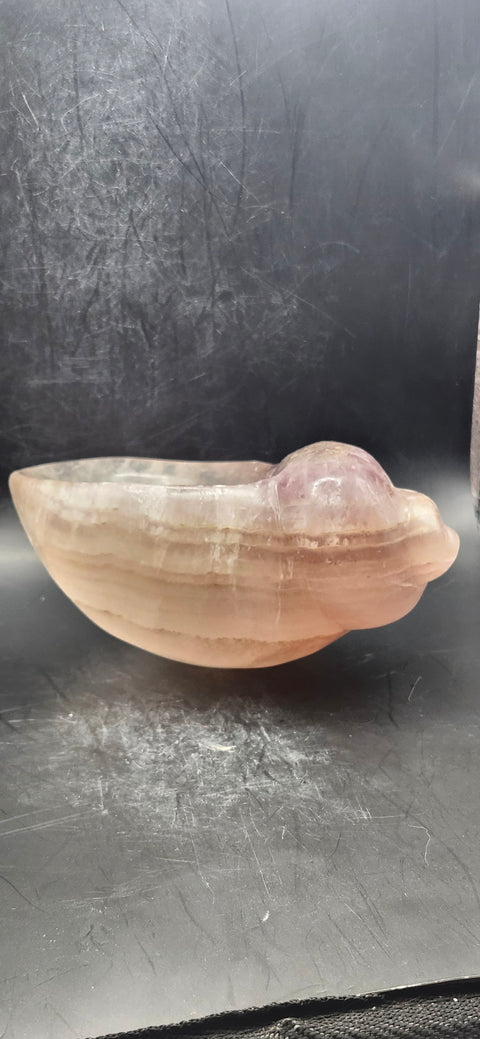 Florite conch shell offering bowl! 1.8 pounds, 5 inches by 4 inches