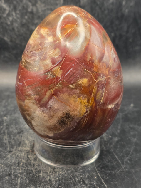 Petrified wood egg! 1.3 pounds, 3.4 inches tall, 2.6 inches wide!