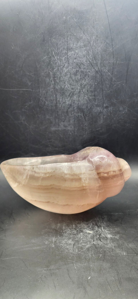 Florite conch shell offering bowl! 1.8 pounds, 5 inches by 4 inches