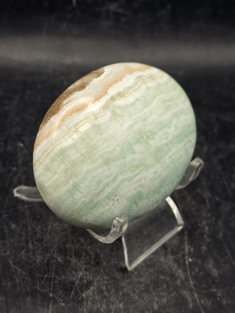 Caribbean calcite palm stone! 4.4 ounces, 2.7 inches long, 1.9" wide