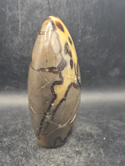 Septarian stone free form! 1.1 pounds, 4 inches tall, 3" wide